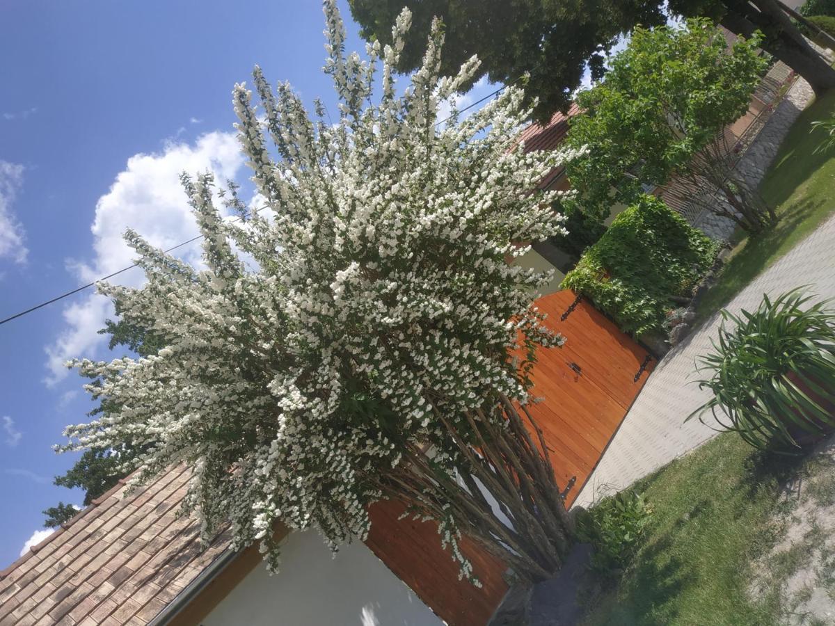 Cseresznyes Haz Липот Экстерьер фото